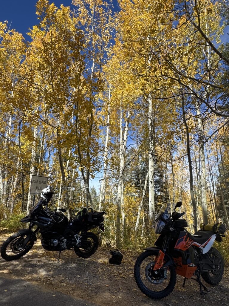 A KTM 790 Adventure and a BMW F850GS adventure motorcycle stand in front of brilliant yellow aspen trees in the fall in the mountains of Arizona
